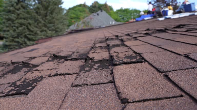 Best Chimney Flashing Repair  in Lyman, MS