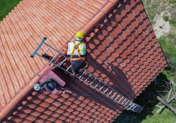 Best Roof Moss and Algae Removal  in Lyman, MS