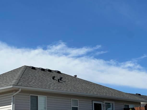 Roof Insulation in Lyman, MS